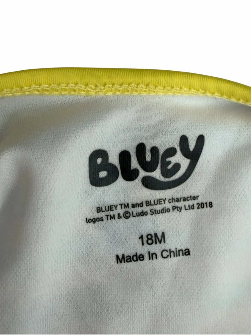 Bluey Yellow & Light Blue Pineapple Tankini Set 18 mo bingo and bluey